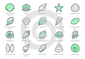 Seashell, oyster, scallop line icons. Vector illustration included icon as nautilus, spiral shell, starfish outline