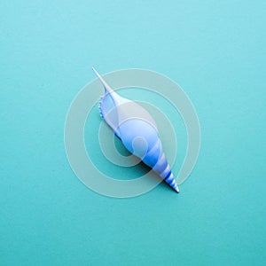 Seashell on pastel color backgrounds.Flat lay