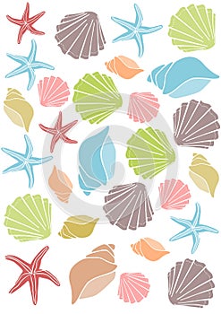 Seashell pattern