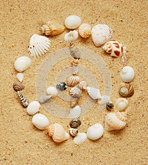 Seashell Peace Sign