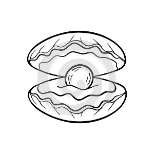 Seashell pearl line art. Summer time beach shell. Vector hand drawn seashell.