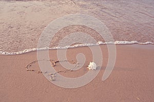 Seashell on the sandy shore of the sea with heart drawn on the sand