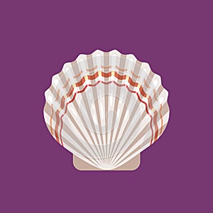 Seashell scallop flat icon