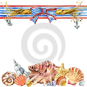 Seashell and sea ship rope