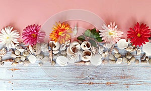SEASHELL AND SEA STONES FLOWERS ON WOODEN BACKGROUND DESIGN PINK RED COLORFUL