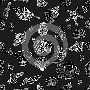 Seashell seamless pattern