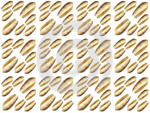 Seashell seamless pattern on a white background