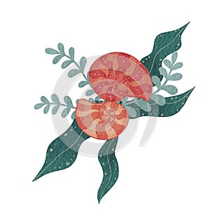 Seashell with seaweed bouquet watercolor illustration for decoration on Summer Christamas and coastal style