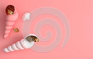Seashell with shadow on a pink background. 3d render illustration. Ocean fauna underwater nautilus shell. Summer image for