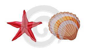 Seashell and Starfish as Travel and Tourism Attribute Vector Set