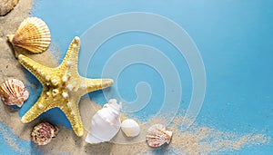 Seashell, starfish and beach sand on blue background