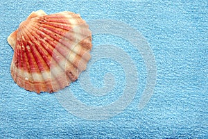 Seashell and towel
