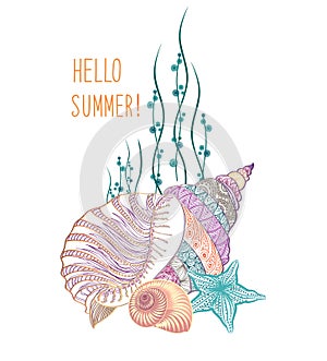 Seashell underwater background. Summer holidays cover with sea inhabitants