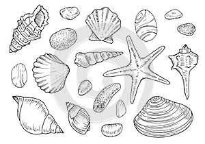 Seashell Vector Set. Outline illustration of starfish and rocks. Hand drawn nautical clipart bundle. Black line art of