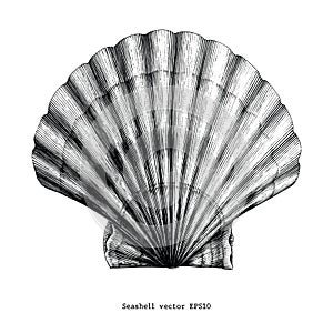 Seashell vintage clip art