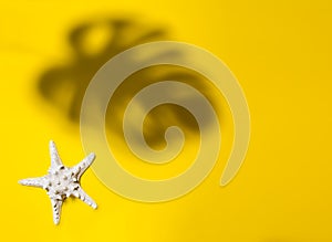 Seashell on yellow background with tropical leaf shadow. Summer holidays and travel concept.