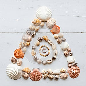 Seashells arranged in triangular and circular