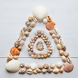 Seashells arranged in a triangular pattern