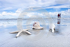 Seashells In Atlantic Ocean With Older Senior Couple In Love