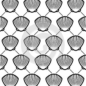 Seashells background. Collection seashells icons. Vector