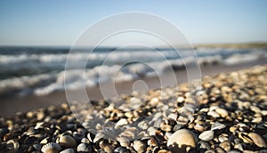 Seashells on the beach of the Black Sea of different colors and sizes against the background of sea waves