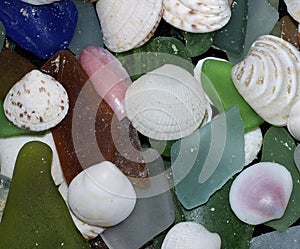 Seashells And Beach Glass