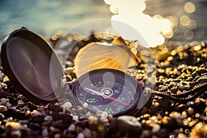 Seashells on the beach