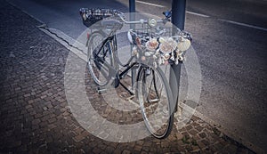 Seashells bicycle on the street
