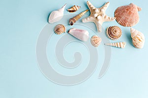 Seashells on a blue background with space for text