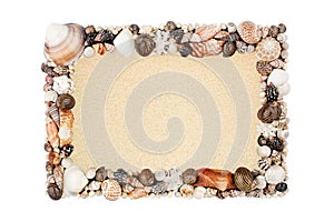 Seashells, blue ocean water frame white background isolated close up top view, sea shells decorative border, summer beach holidays