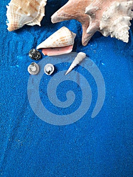 Seashells on the blue sand. The blue abstract background represents travel to exotic countries.