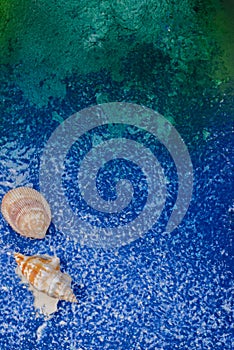 Seashells on blue sea background