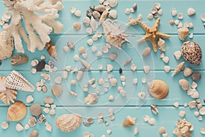 Seashells on blue wood, sea vacation background