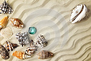 Marine summer postcard. Seashells border on sand on the beach the gradient effect