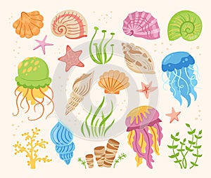 Seashells cartoon hand drawn set ocean marine starfish mollusk seaweed conch jellyfish sea vector