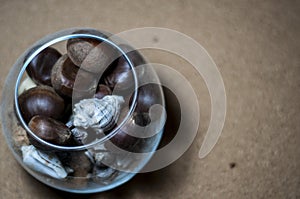 Seashells, chestnuts, cones and wine corks in wine glass.