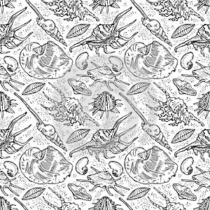 Seashells of the coast of California in the sand. Hand-drawn monochrome collection of seamless patterns. Vector illustration.