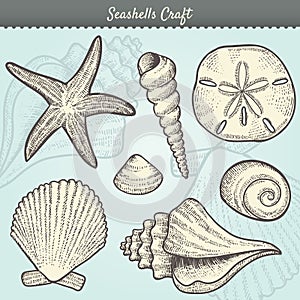 Seashells Craft Elements Set