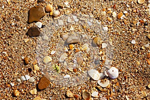 Seashells of different shapes and sizes on the sandy beach. Space for text. Background