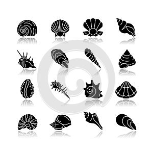 Seashells drop shadow black glyph icons set