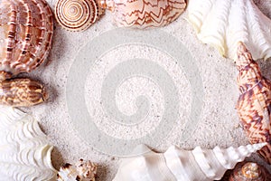 Seashells frame photo