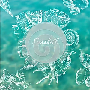 Seashells frame background