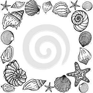 Seashells frame. Sea and ocean design template. Vector illustration. Vector card templates. Perfect for business card, invitation