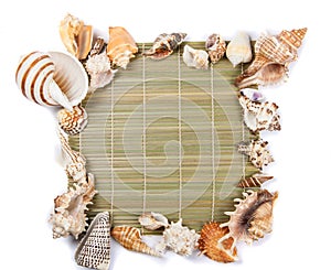 Seashells frame of seashells on a white background