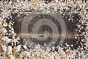 Seashells frame on wood