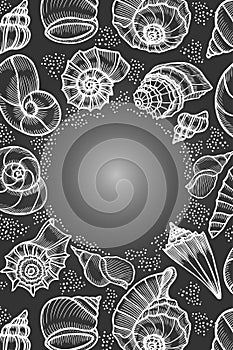 Seashells hand drawn vector