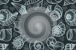 Seashells hand drawn vector