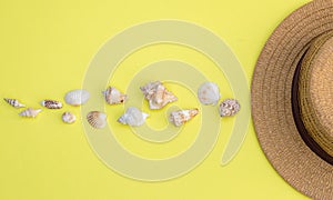 Seashells and hat on a yellow background, summer holidays mood, top view