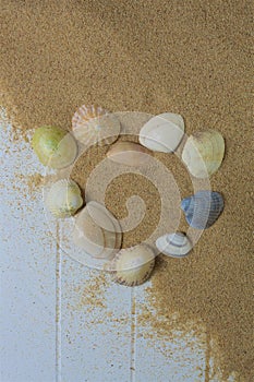 Seashells in heart shape