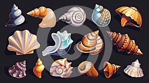 Seashells isolated on black background. Illustration of colored mollusks, snails, oyster shells, marine beach and seabed